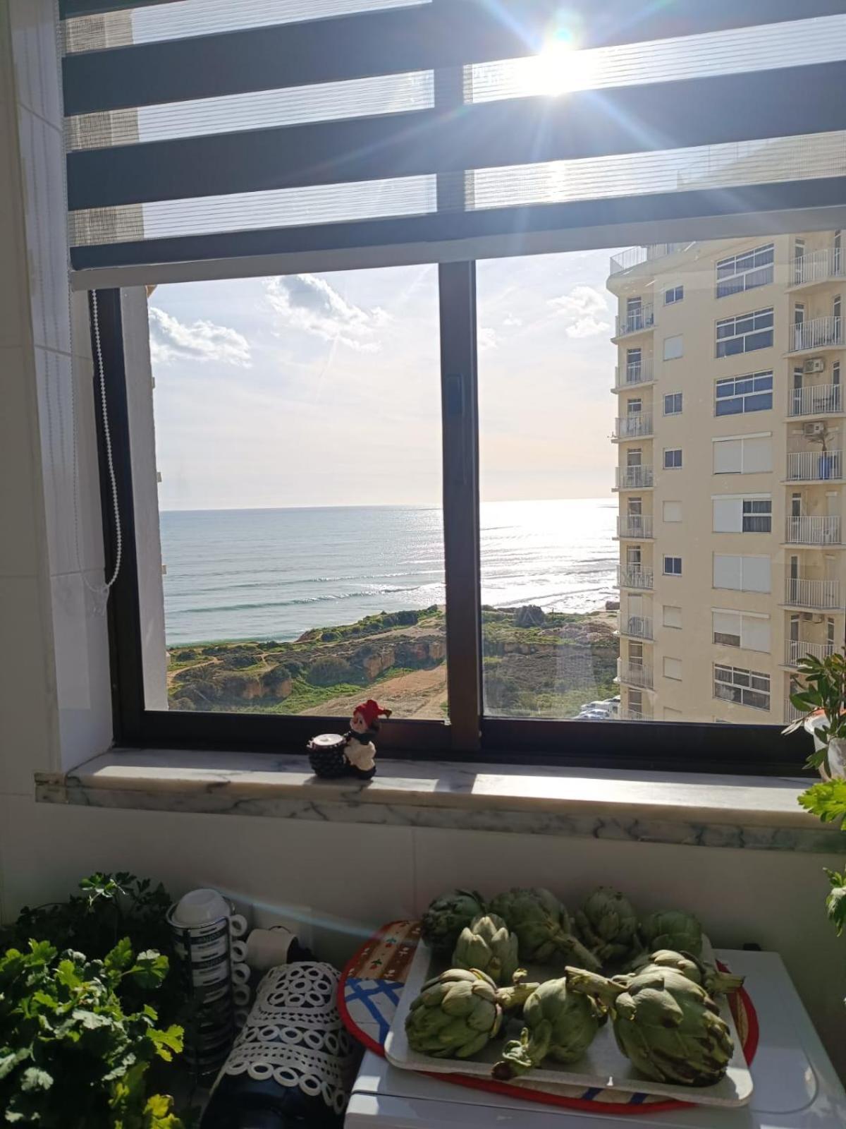 9C Sao Gabriel - Casas & Papeis Apartment Armacao de Pera Luaran gambar